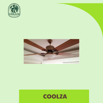 Quạt trần trang trí